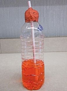 ¿cómo hacer un termómetro con una botella de plástico?