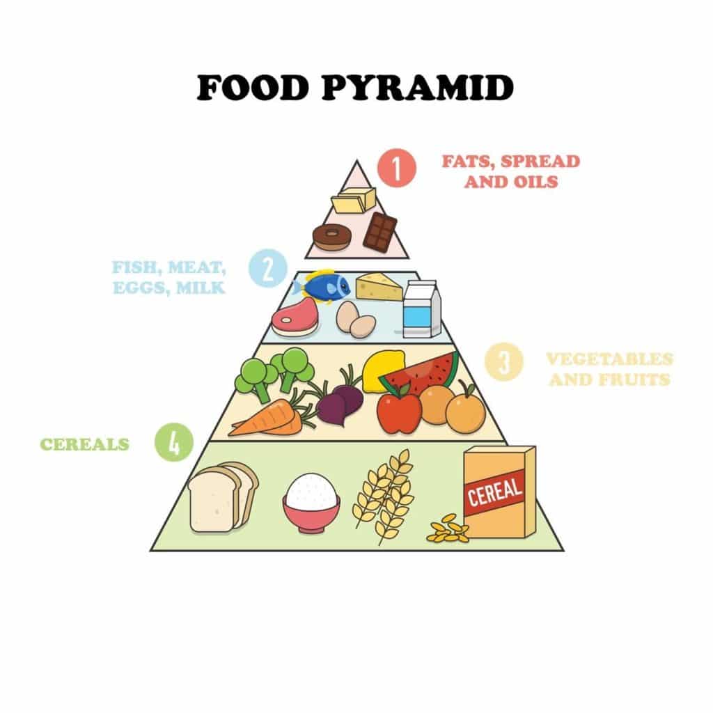 ¿qué es la pirámide nutricional?