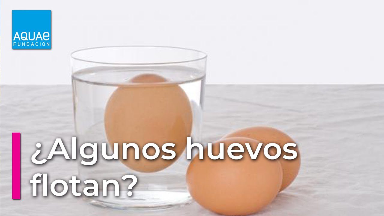 ¿qué es más denso un huevo crudo o uno cocido?